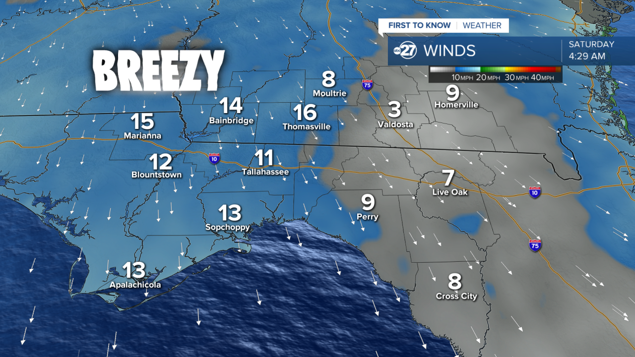 Breezy & cold Saturday to start your weekend in Tallahassee